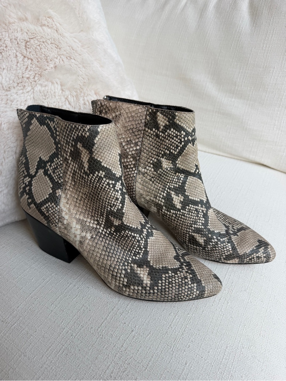 Dolce Vita Snake-Print Ankle Booties in Neutral Tones size 10 boots